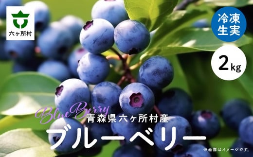 《先行予約 2025年8月中旬～順次出荷》 青森県 六ヶ所村産 ブルーベリー 冷凍生実 2kg