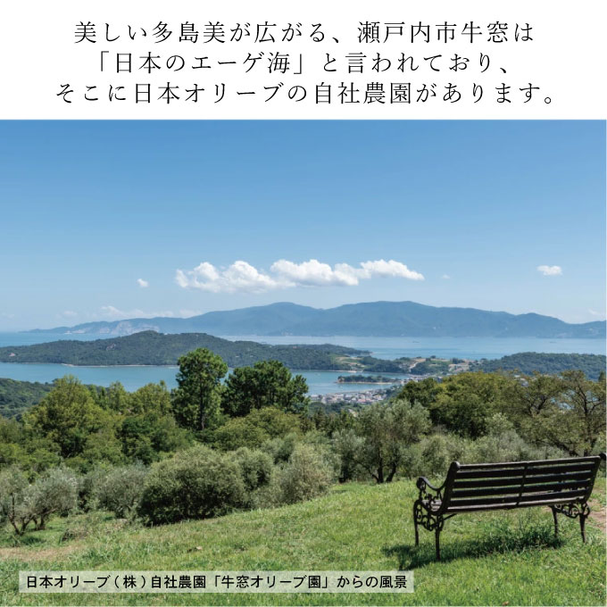 赤屋根オリーブの実と葉入り 旨み塩 ＆ 有機栽培オリーブオイル ブレンド セット