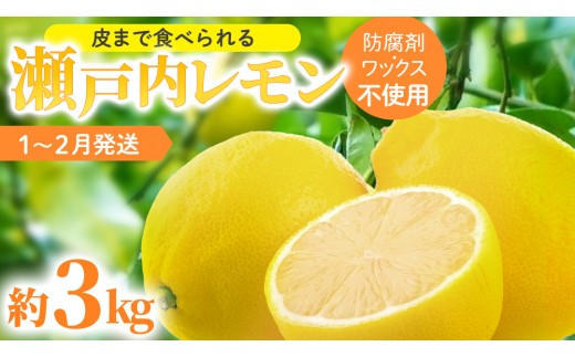 瀬戸内 レモン 約3kg (30個程度) 防腐剤・ワックス不使用 皮まで食べられる 【 2027年1月～2月発送 】 完熟 イエローレモン レモンサワー  西田農園 柑橘 フルーツ 果物 檸檬 送料無料 産地直送 ギフト