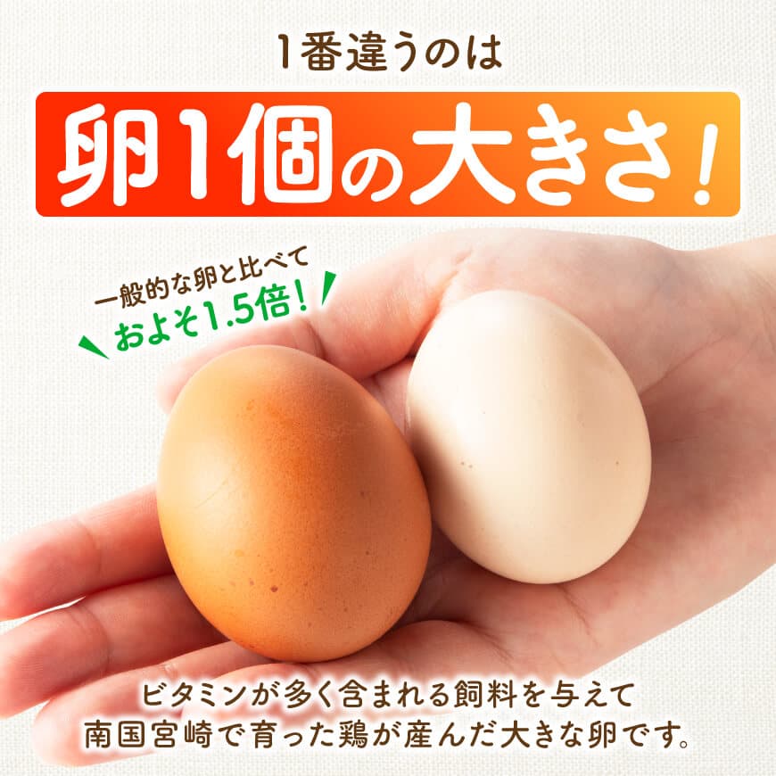 【12ヶ月定期便】宮崎県産鶏卵　「南国からの贈り物」大きな卵40個入り（35個+破損補償5個） 【 卵 たまご 新鮮 おうちごはん タマゴ おうち時間 】