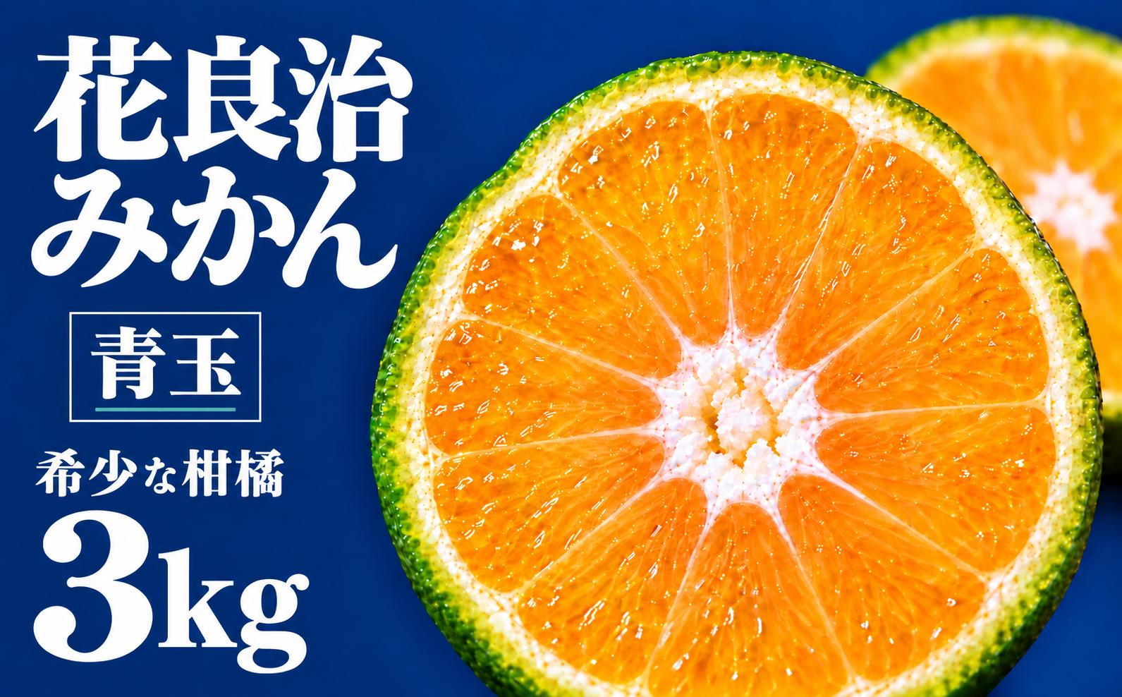 
                  みかん 青玉 3kg ミカン フルーツ 果物 柑橘 先行予約 柑橘類 ギフト プレゼント 贈答用 花良治みかん けらじみかん オレンジ 高知県産 希少 芳香 爽やか 香り 薬味 焼酎 水割り 添え物 アレンジ デザート スイーツ ジャム ゼリー ケーキ 季節限定 旬 先行予約柑橘類 令和8年産 10月中旬 11月下旬 安芸市 高知県
                