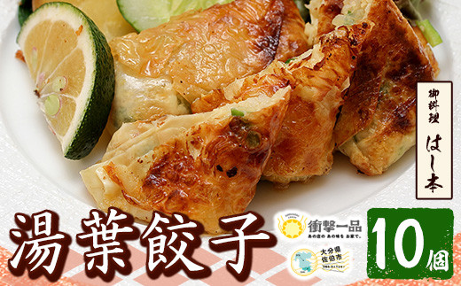 衝撃一品！御料理はし本 湯葉餃子 (計10個) 【AB224】【柳井商店】