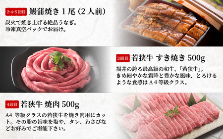 【定期便 6回コース】 蒲焼き鰻 と 肉の鉄板コース 定期便 【うなぎ＆若狭牛】【牛肉 牛 国産牛 国産 和牛 お肉 ブランド牛 焼肉 鰻のかば焼き ウナギ 黒毛和種 黒毛和牛 A4等級クラス 人気】