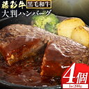 【ふるさと納税】肉 藤彩牛 大判 ハンバーグ 800g 4枚 ( 200g × 4枚 ) 《60日以内に出荷予定(土日祝除く)》株式会社フジチク 熊本県 産山村 肉 牛肉 惣菜 おかず 黒毛和牛