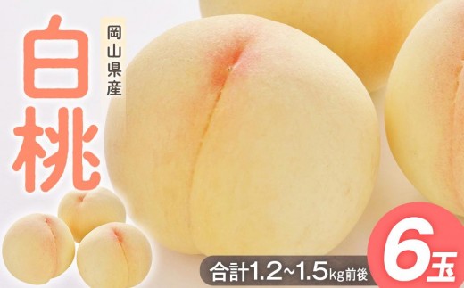 
                  桃 2027年  白桃 6玉入り 合計1.2～1.5kg前後 もも モモ 岡山県産 国産 フルーツ 果物 ギフト
                