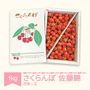 【ふるさと納税】【先行予約】 さくらんぼ 佐藤錦 赤秀 L玉 1kg バラ詰 ご家庭用 2025年産 令和7年産 山形県産