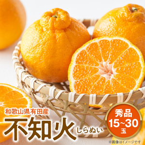 U6306_【2026年先行予約】不知火 しらぬい(デコポンと同品種) 秀品 15～30玉 和歌山県有田産