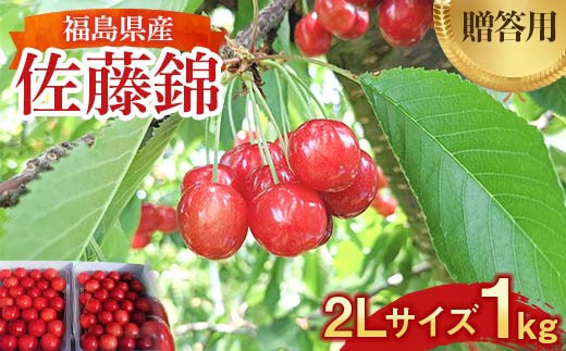 さくらんぼ ＜佐藤幸男農園＞ 佐藤錦 2L 1kg 置き並べ 贈答用 F7X-0219