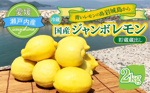 【配送エリア：北海道・沖縄・離島】青いレモンの島　貯蔵蔵出しジャンボレモン 2kg 冷蔵でお届け レモン 国産レモン れもん イエローレモン国産