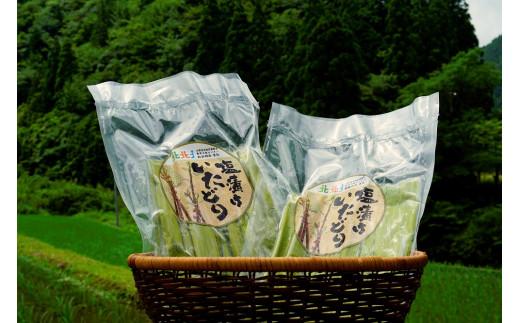 冷凍塩漬け イタドリ 250g×5袋 高知県産 いたどり イタドリ 山菜 野菜 野菜炒め 酢の物 キムチ 高知県 中土佐町