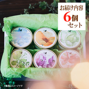 プレミアム ジェラート 6個 セット 各120ml  静岡 長泉町 ジェラート