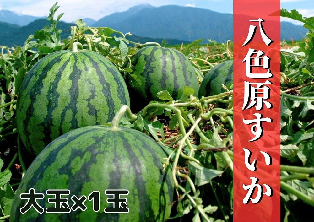 
            【新潟県南魚沼産】八色原スイカ 大玉１玉
          