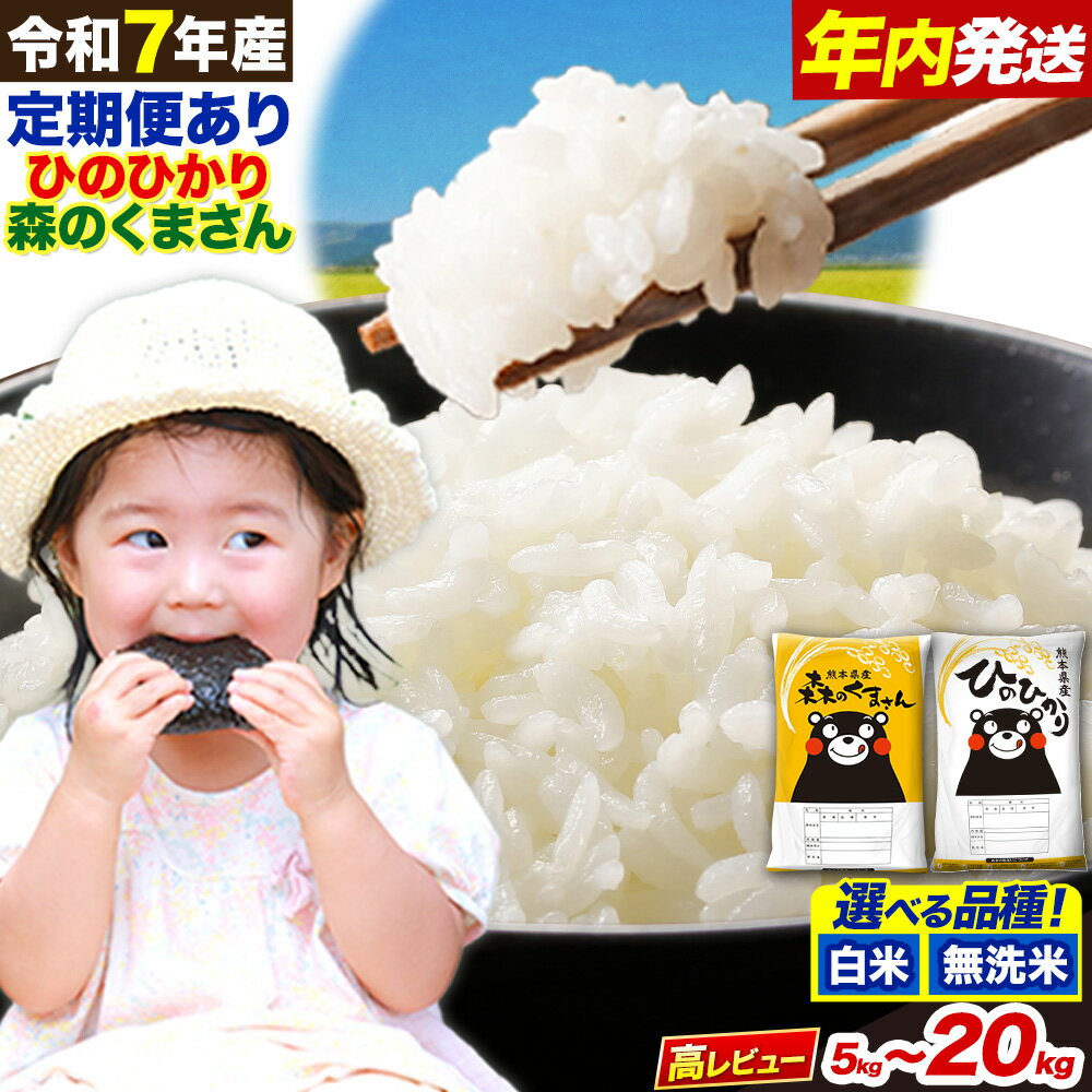 定期便 あり 無洗米 も選べる ひのひかり 10kg 5kg×2袋