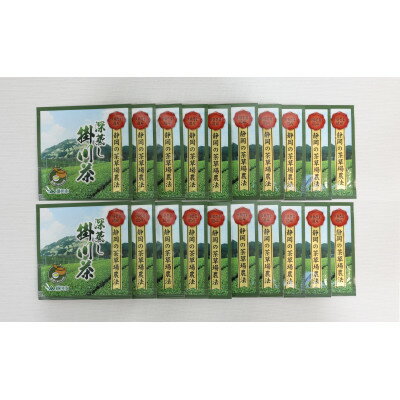 【ふるさと納税】掛川東山茶「ききょう」茶葉　5g×20袋【配送不可地域：離島・沖縄県】【1718450】