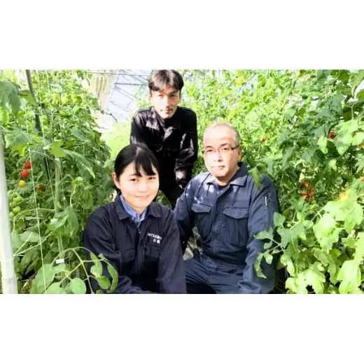 [5525-1133]大豆 きな粉 5袋 100g×5 合計 500g 粉末 ゆきしずか 北海道 伊達 のぐち北湯沢ファーム