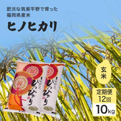 ふるさと納税 小郡市 定期便12回 1等級米 ヒノヒカリ 玄米10kg[No5354-2374]