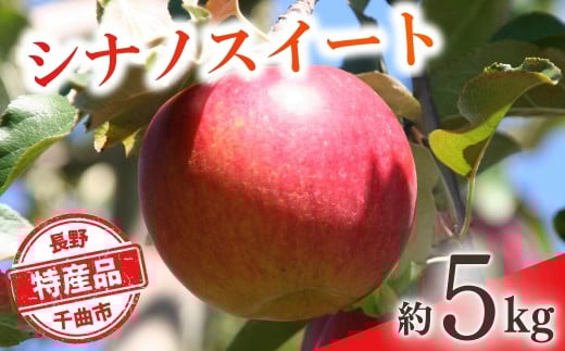 【2026年先行予約】りんご シナノスイート(長野県オリジナル品種) 約5kg | りんご 林檎 リンゴ 信州りんご 長野県 千曲市