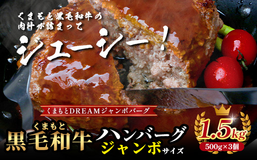 【年内お届け】ビッグサイズ！くまもと 黒毛和牛 《 DREAMジャンボバーグ 500g×3パック 計1.5g 》 ※12月19日～26日発送※ 牛肉 100％ 国産 生 ボリューム ハンバーグ お祝い