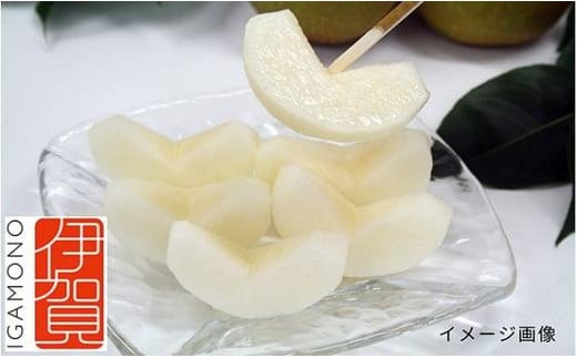 
            白鳳梨(あきづき)4L 12玉 ※お届けは9月中旬頃の予定です
          