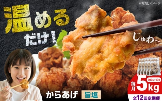 【全12回定期便】からあげ 旨塩味　5kg　計60kg【から太郎】 [BDBC004-12]