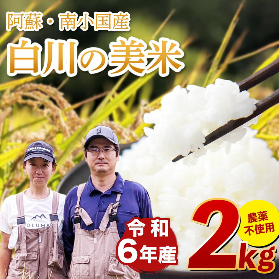 【ふるさと納税】令和6年産 白川の美米 2kg 令和6年産 南小国産 白米 玄米 森のくまさん 精米 米 お米 玄米対応可能 ご飯 ごはん 無農薬 農薬不使用 自然栽培 産地直送 熊本 南小国 送料無料