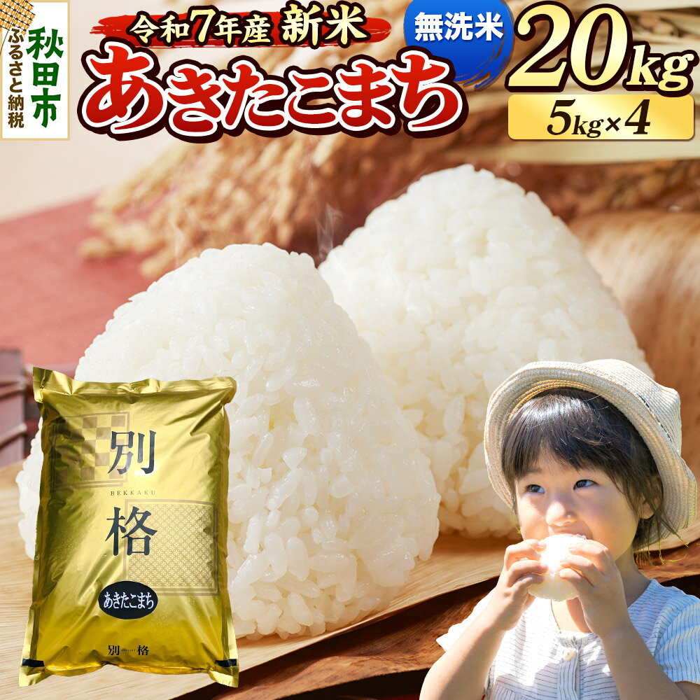 【ふるさと納税】《令和7年産 新米》 米 あきたこまち 20kg（5kg×4袋） 【無洗米】 秋田県産