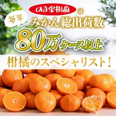 のま果樹園の甘平(約3kg)バラ詰め【1759302】