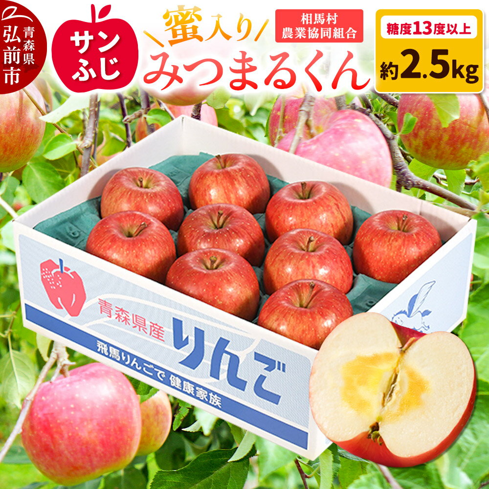 【ふるさと納税】りんご 蜜入り サンふじ（みつまるくん）約 2.5kg 糖度13度以上