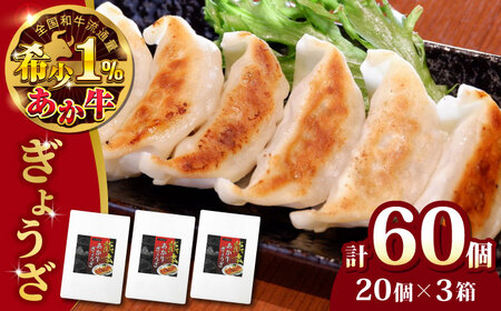 熊本県産 あか牛 ぎょうざ 20個×3箱 熊本 赤牛 褐牛 あかうし 褐毛和種 肥後 冷凍 国産 牛肉【有限会社 三協畜産】[YCG043]