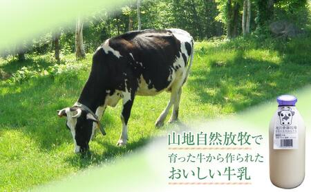 【12ヶ月定期便】斉藤牧場の山地自然放牧牛乳（900ml×2本×12回）