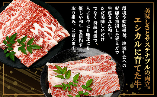 【エシカル和牛】くまもとあか牛【あか牛の極み】 肩ロース＆バラセット 400g ロース バラ 熊本 あか牛 牛肉 すき焼き しゃぶしゃぶ 赤身 和牛 国産 SDGs 033-0510