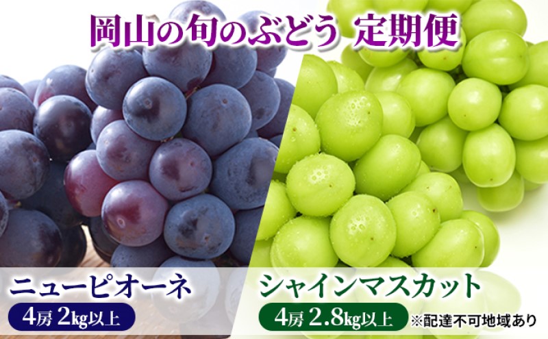 フルーツ 定期便 【2026年 先行予約】 ニュー ピオーネ 4房2kg以上 シャインマスカット 4房2.8kg以上 岡山県産 国産 セット ギフト