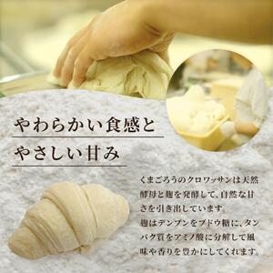 天然酵母 クロワッサン 8種類 計10個セット