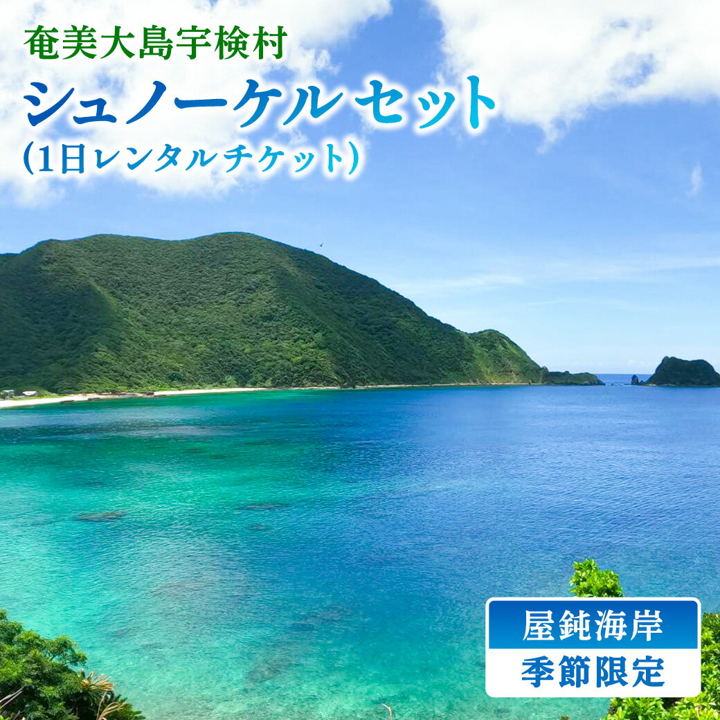 【ふるさと納税】屋鈍の海で シュノーケル（1日レンタルチケット・季節限定）奄美大島 宇検村 鹿児島県 旅行 体験 奄美ブルー