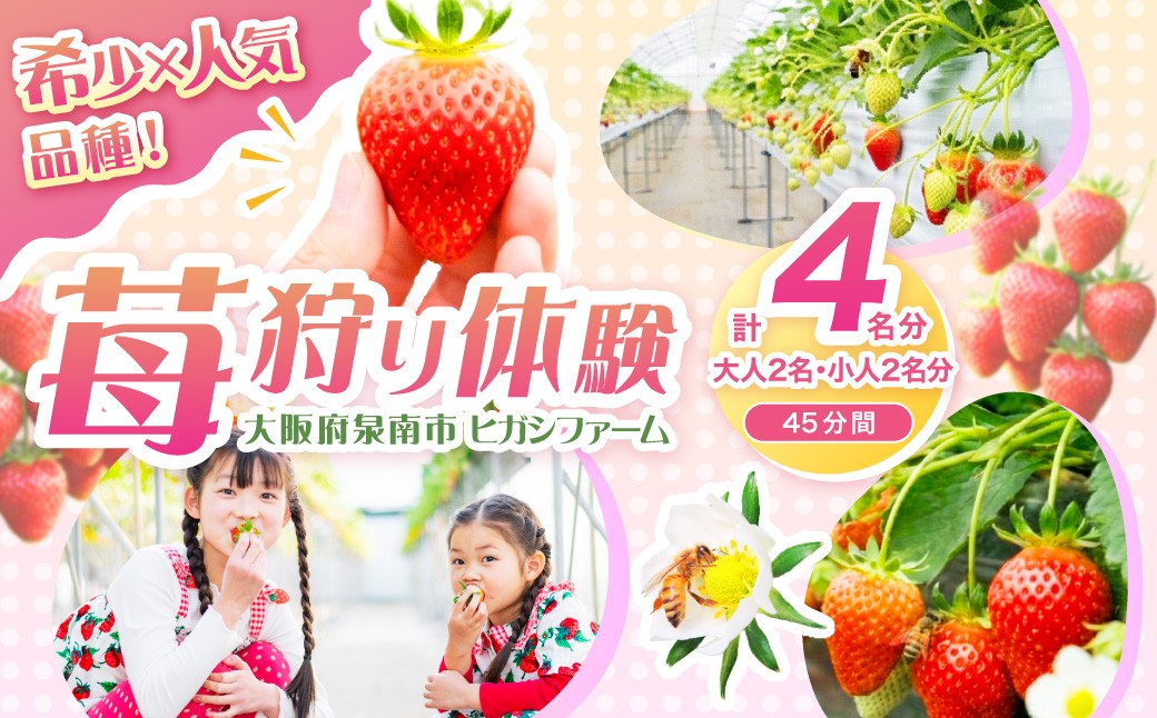 
                  【見つけて、摘んで、食べて！】希少いちご「ほしうらら」を摘みに行こう いちご狩り 体験チケット（大人2名 5,000円分・小人2名 3,000円分）【121D-002】
                