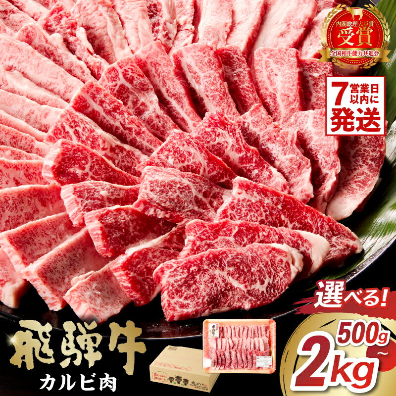 【ふるさと納税】 【容量が選べる】飛騨牛　カルビ 焼肉 肉 牛肉 カルビ 焼肉用 まとめ買い おうち焼肉 BBQ バーベキュー 肉 花見 和牛 国産牛 黒毛和牛 送料無料