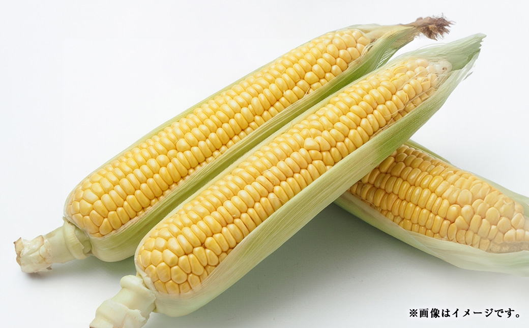 【 2回定期便 】 中央市産 とうもろこし、もも