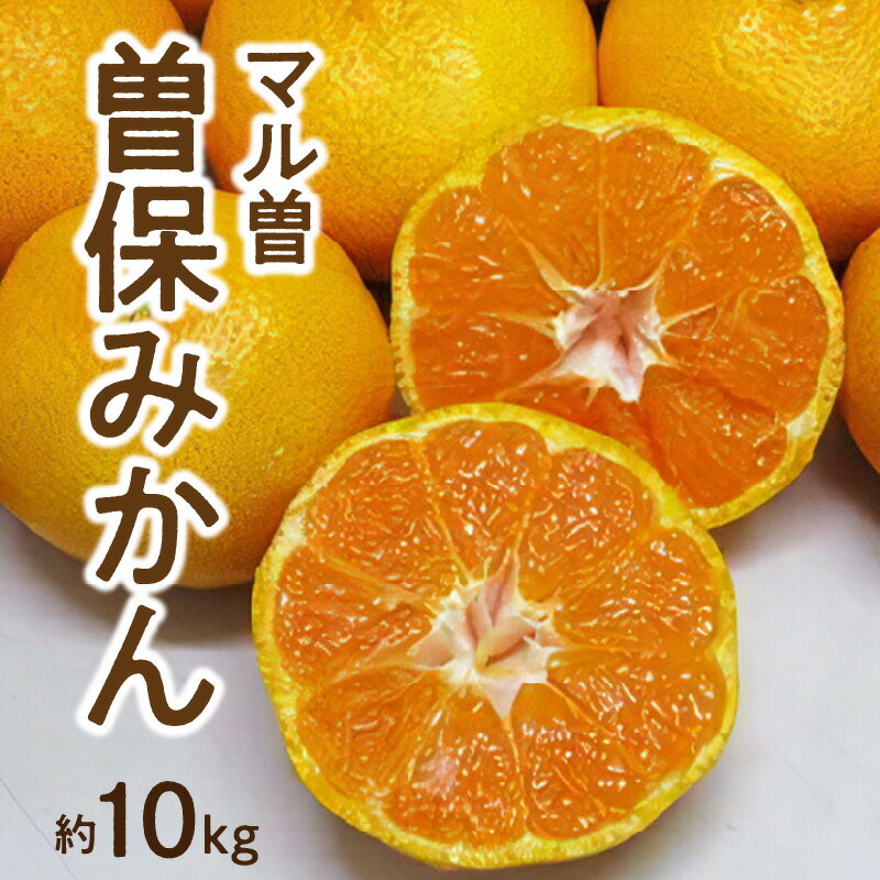 【ふるさと納税】 フルーツ みかん 曽保みかん 約 10kg L〜Sサイズ 先行予約 [ 果物 柑橘 ジューシー 甘い 旬 新鮮 直送 産地直送 予約販売 人気 ギフト お歳暮 贈答用 家庭用 10,000円 台 送料無料 香川県 三豊市 返礼品 五色青果 ]
