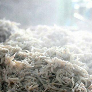 【ふるさと納税】 しらす漁師直売 湘南釜揚げしらすセット A 500g しらす 釜揚げしらす ふんわり食感 湘南しらす 魚 魚介 君栄 神奈川県 三浦市 おすすめ ランキング プレゼント ギフト