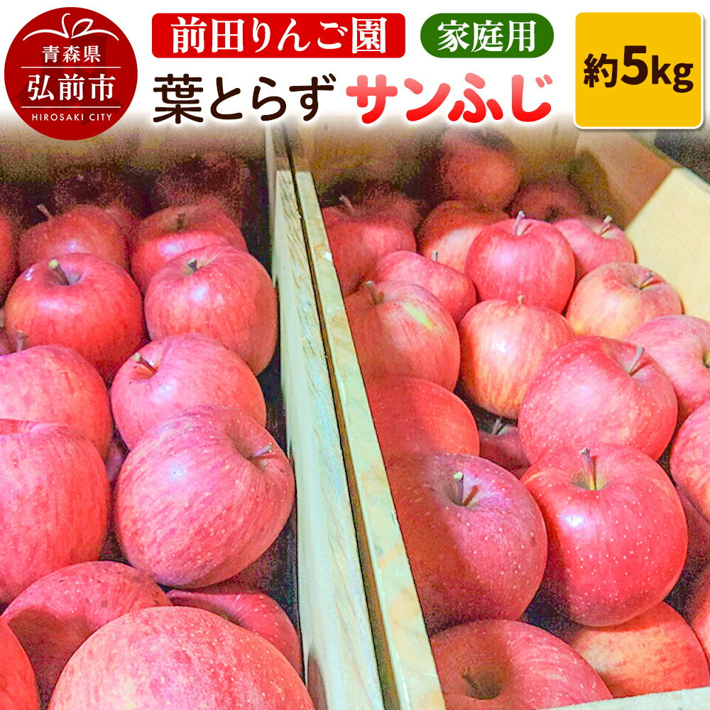 【ふるさと納税】りんご【先行受付】家庭用 葉とらず サンふじ 約 5kg (16〜20玉程度) 前田りんご園