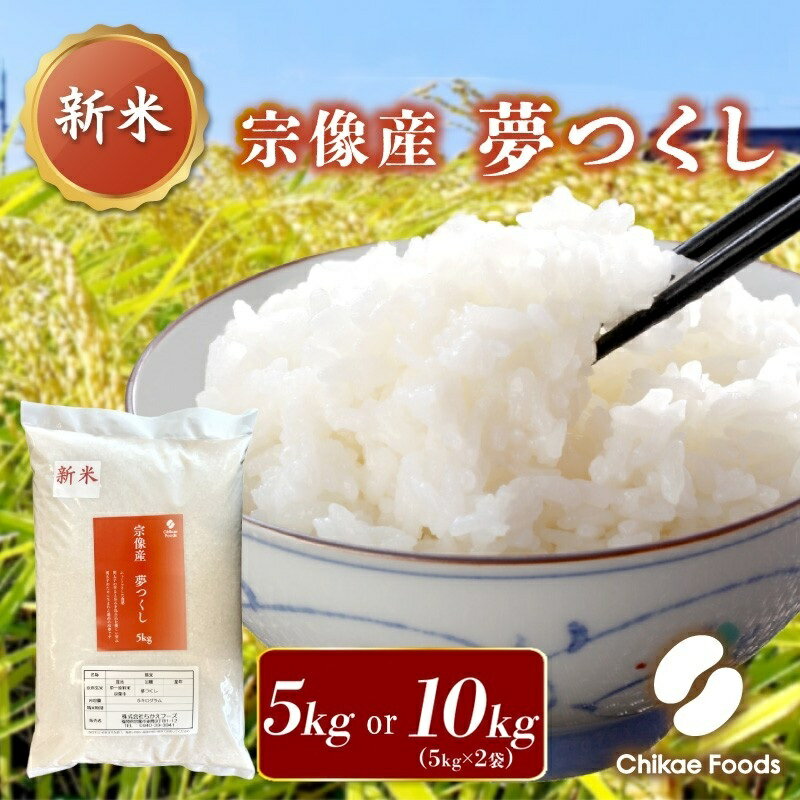 【ふるさと納税】宗像産 夢つくし 5kg 10kg【ちかえフーズ】米 白米 おいしい 福岡県 宗像市 宗像産 夢つくし 5kg 5キロ 10kg 10キロ