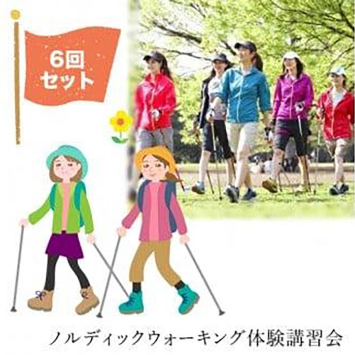 【ふるさと納税】 ノルディックウォーキング体験講習会6回セット【ノルディックウォーキング講習会 ノルディックウォーキング体験会 ノルディックウォーキング教室 イベント 体験講習会 NPO法人ボディアライアンス 大阪府 門真市 】