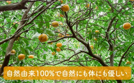 【全3回定期便】【 植物 由来 】万能 濃縮 甘夏 みかん 洗剤 糸島市 / わかまつ農園[AHB017]