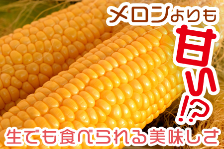 予約受付！＜朝採れ！国富町産ゴールドラッシュ4.5kg2Lサイズ13本＞2025年5月下旬～7月上旬迄に順次出荷【 とうもろこし スイートコーン 先行予約 野菜 穀物 甘い トウモロコシ 数量限定 】