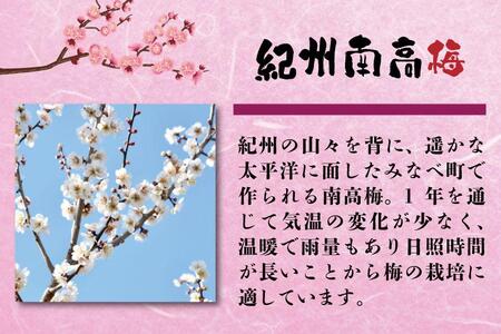 わけあり紀州南高梅はちみつ漬梅干2.6kg B-018