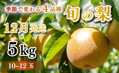 【 数量限定 】 旬の梨 5kg 10～12 玉 【12月より発送】