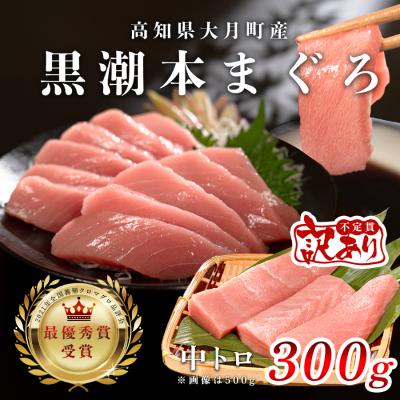 ふるさと納税 大月町 【訳アリ】養殖本マグロ 中トロ 300g 黒潮本まぐろ 刺身用 小分け柵 最優秀賞受賞 高知県大月町