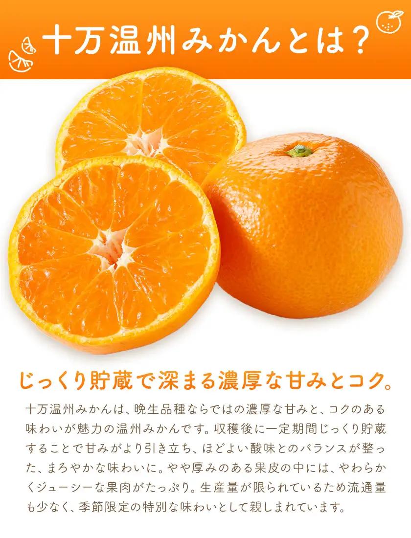 十万みかん シロップ漬け 170g 4本 田野農園《30日以内に出荷予定(土日祝除く)》鹿児島県 さつま町