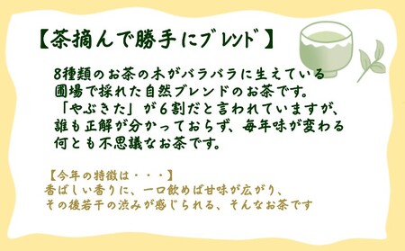 【 R8年産 】種子島 射場貴大 茶園 「松寿」＋「極上」＋「茶摘んで勝手にブレンド」 茶園 オリジナル セット　NFN572【350pt】// 日本茶 緑茶 希少品種 お茶 新茶 一番茶 煎茶 