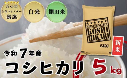 ≪令和７年産新米≫佐賀県産 コシヒカリ 白米5㎏ / 大塚米穀店［A0194-0019］